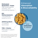 designs-for-health-methylated-vitamin-b--3.jpg