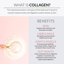 alaya-multi-collagen-powder-supports-hai-4.jpg