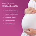 mother-s-promise-prenatal-probiotics-cho-5.jpg