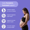 mother-s-promise-prenatal-probiotics-cho-4.jpg