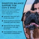animal-essentials-healthy-gut-herbal-pre-5.jpg