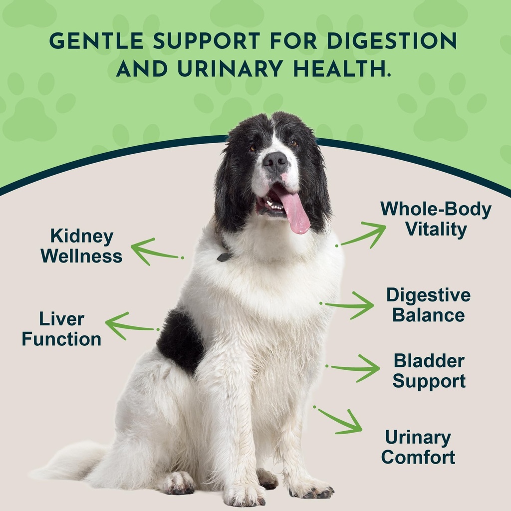 animal-essentials-dandelion-extract-for--2.jpg
