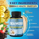 organic-cadane-2-packs-irish-sea-moss-po-5.jpg