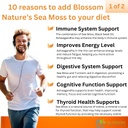 10-in-1-irish-sea-moss-veggie-caps-3000m-6.jpg