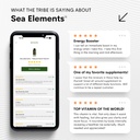 upful-blends-sea-elements-ultimate-sea-v-6.jpg
