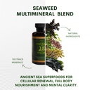 upful-blends-sea-elements-ultimate-sea-v-3.jpg