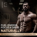 essencraft-atlas-x-testosterone-suppleme-2.jpg