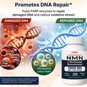 nmn-supplement-1000-mg-pure-nicotinamide-5.jpg