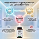 pristine-s-longevity-complete-anti-aging-3.jpg
