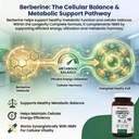 pristine-s-longevity-complete-anti-aging-5.jpg