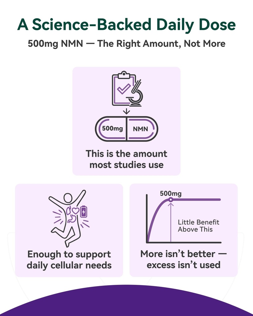 inner-brightness-nmn-supplement-500mg-99-5.jpg