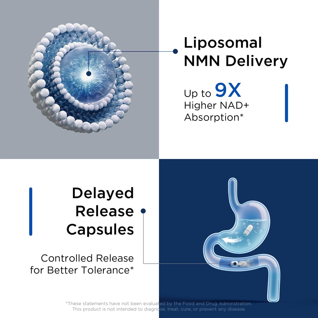 nmn-supplement-liposomal-neuro-nmn-with--5.jpg