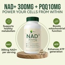 xage-nad-support-supplement-nicotinamide-2.jpg
