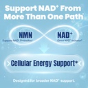 liposomal-nmn-nad-supplement-dual-source-3.jpg