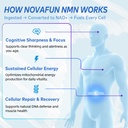 nmn-supplement-1000mg-purity-beta-nicoti-4.jpg