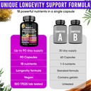 adndale-liposomal-nad-supplement-longevi-6.jpg