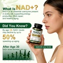 nad-supplement-1500mg-nr-nmn-replacement-2.jpg