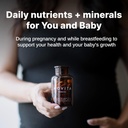 movita-prenatal-multivitamin-organic-fer-3.jpg