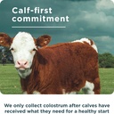 ancient-nutrition-colostrum-superfood-co-6.jpg