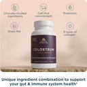 ancient-nutrition-colostrum-superfood-co-4.jpg