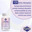 liposomal-hyaluronic-acid-supplements-10-2.jpg
