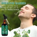 mullein-drops-for-lungs-4-fl-oz-mullein--3.jpg