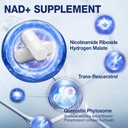 nad-supplement-nad-nicotinamide-riboside-2.jpg