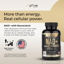gflow-vitamins-nad-supplement-nicotinami-2.jpg