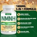 nmnh-supplement-1000mg-nicotinamide-mono-6.jpg