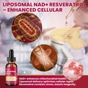 liposomal-nad-supplement-1200mg-nad-liqu-6.jpg