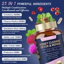 kidney-cleanse-detox-repair-advanced-kid-2.jpg
