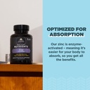 ancient-nutrition-probiotics-and-zinc-su-4.jpg