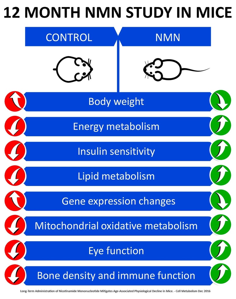 maac10-nmn-supplement-real-nicotinamide--4.jpg