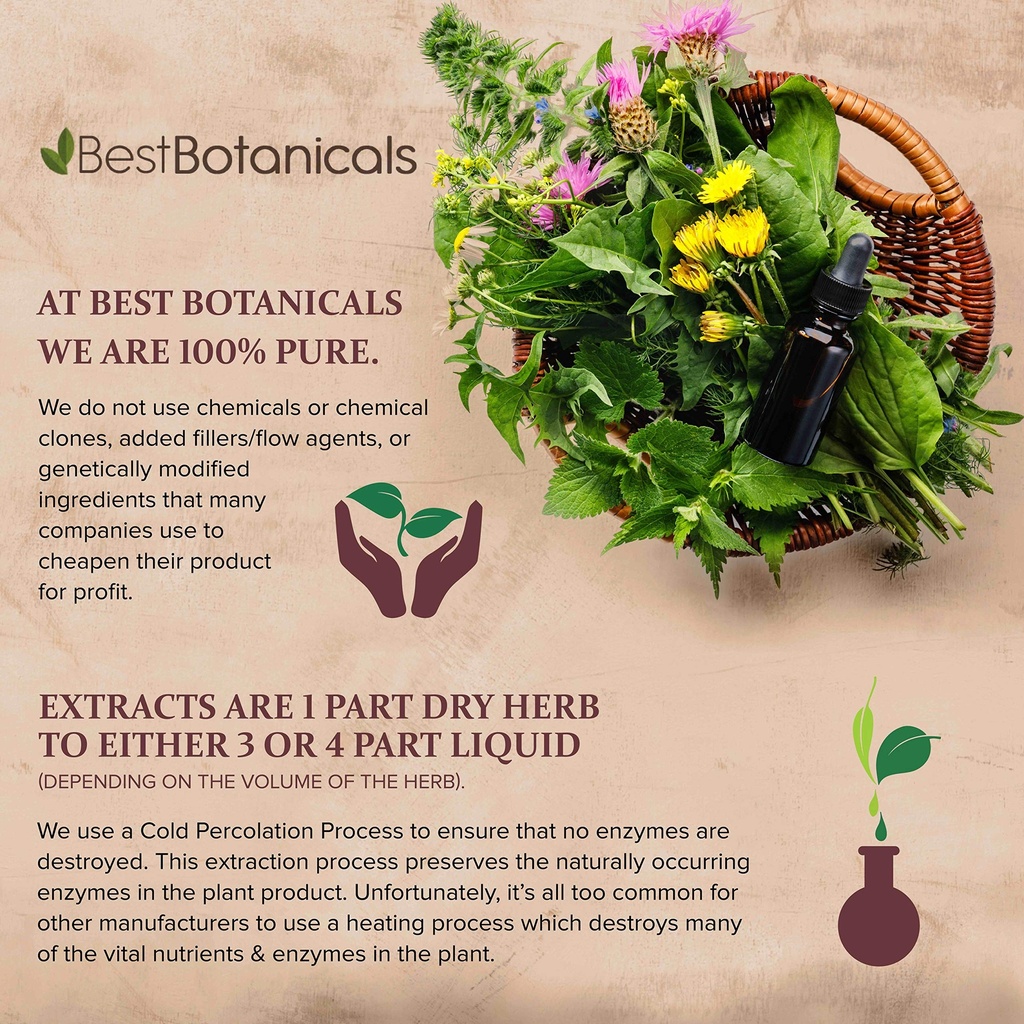 best-botanicals-bayberry-root-bark-cut-1-2.jpg