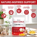 aged-garlic-extract-300-count-7500mg-odo-4.jpg