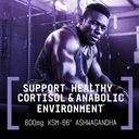 beyond-raw-anabolic-sleep-duel-release-s-5.jpg