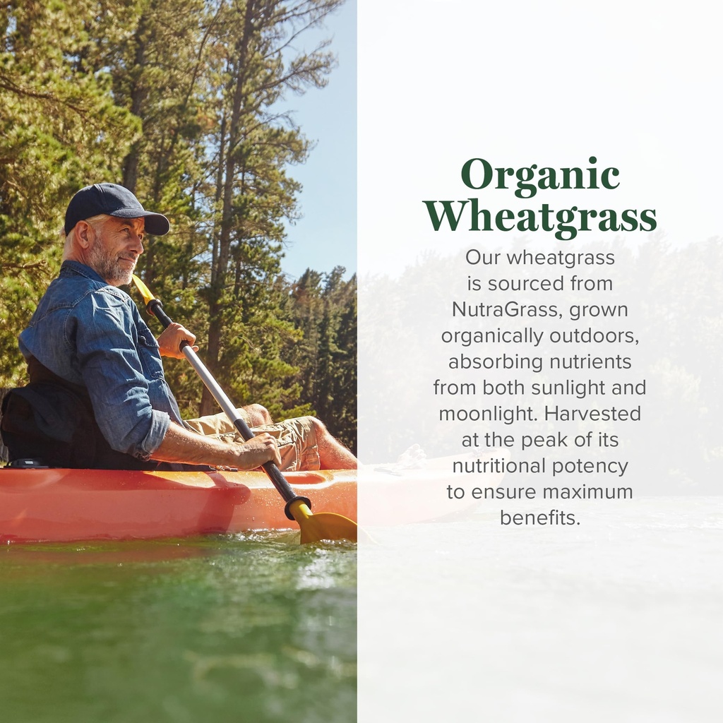 global-healing-wheat-grass-powder-organi-3.jpg