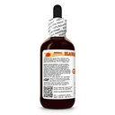 gentian-gentiana-lutea-dry-root-tincture-3.jpg