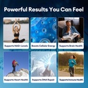 migcopat-nmn-supplement-1000mg-5-in-1-na-6.jpg