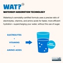 waterboy-weekend-recovery-3-200mg-electr-6.jpg