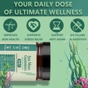 sea-moss-gummies-16-in-1-with-black-seed-5.jpg