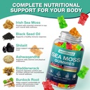 sea-moss-gummies-irish-sea-moss-gummies--3.jpg