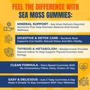 trueseamoss-gummies-sample-1200mg-irish--3.jpg