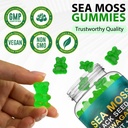 sea-moss-gummies-with-elderberry-black-s-4.jpg