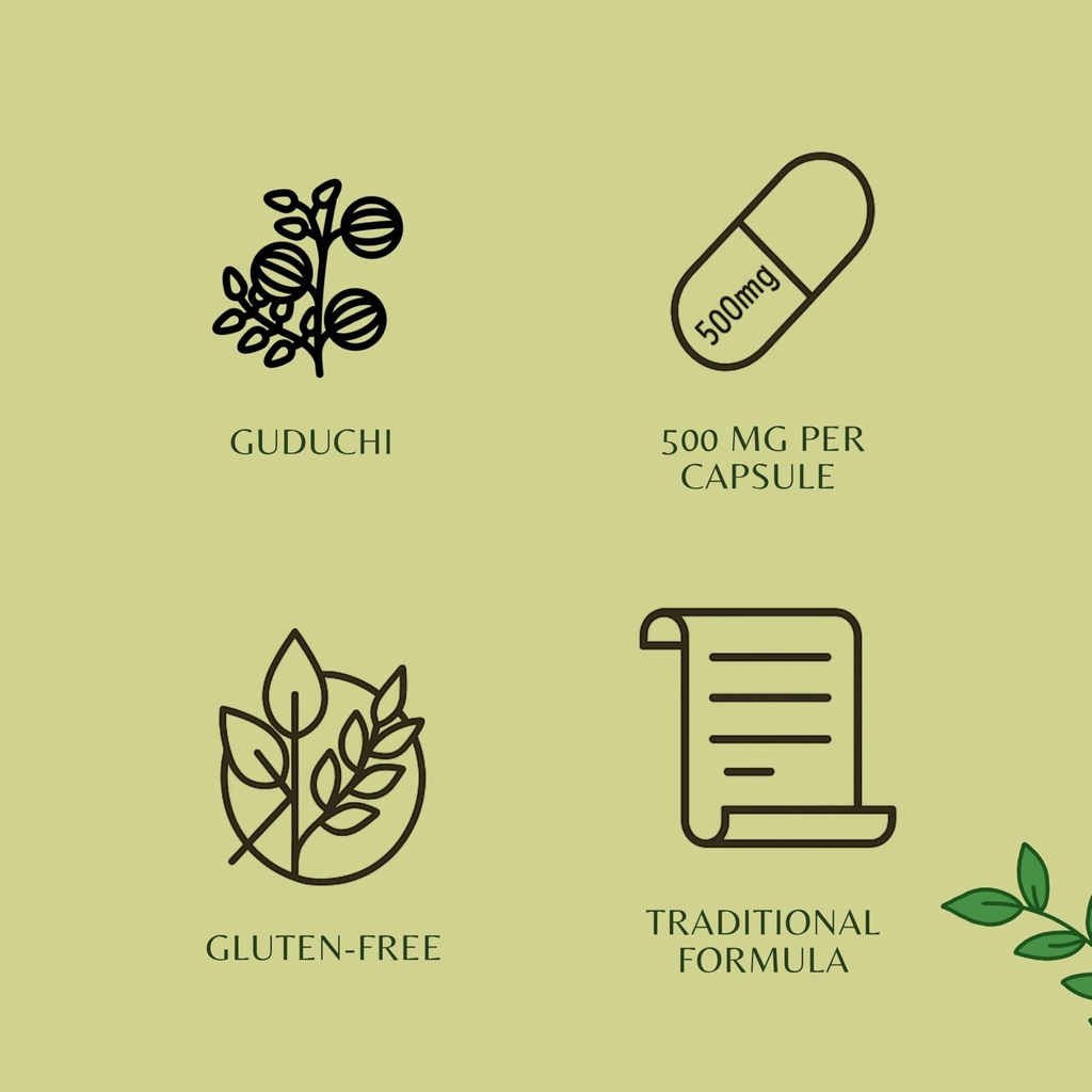 ayurvedashree-guduchi-extract-500mg-60-v-6.jpg