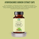 ayurvedashree-guduchi-extract-500mg-60-v-3.jpg