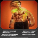 cellucor-max-test-testosterone-booster-1-4.jpg