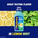 mylanta-heartburn-and-gas-relief-liquid--5.jpg
