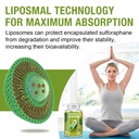 800-mg-liposomal-sulforaphane-powerful-d-5.jpg