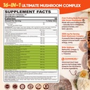 brain-supplements-for-memory-and-focus-1-2.jpg